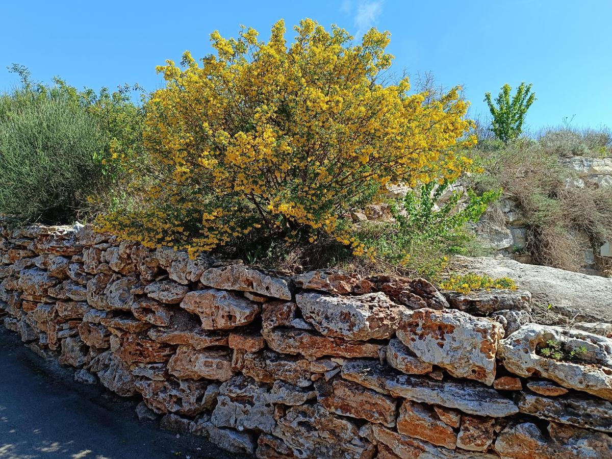 Thracian Cliffs Апартамент Голф Холидей Kavarna Exterior foto